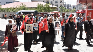 Malbatên Wanî "nobeta ewladan" a li pêşiya avahiya DEM Partiyê domand
