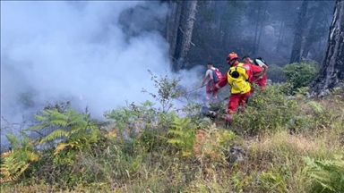 Shqipëri, disa vatra zjarri ende aktive