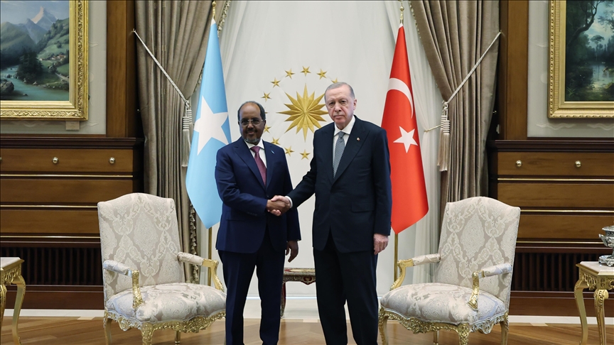 Turkish, Somali presidents discuss bilateral relations, regional issues
