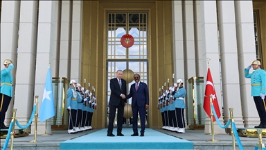 Cumhurbaşkanı Erdoğan, Somali Cumhurbaşkanı Mahmud ile bir araya geldi