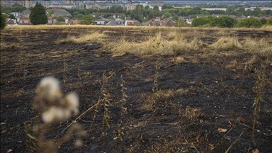 В Лондоне загорелась трава: площадь пожара — как восемь футбольных полей