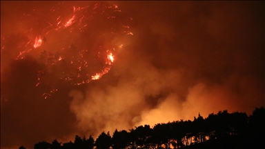 Dozens of London firefighters tackle grass fire as 3rd heat wave of summer intensifies