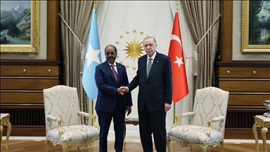 Turkish, Somali presidents discuss bilateral relations, regional issues