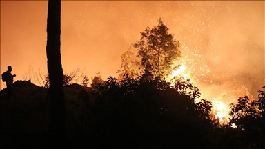 Hatay Valiliğinden Suriye'deki yangına ilişkin açıklama