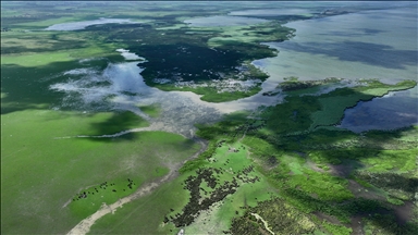 Türkiye: le delta de Kızılırmak arbore toutes les nuances du vert