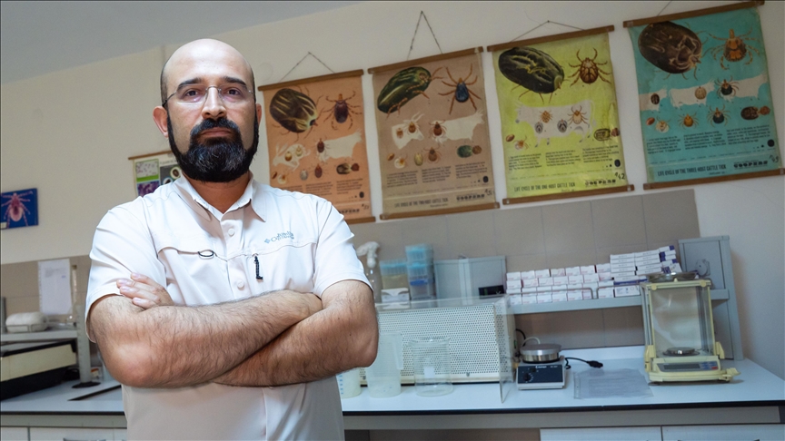 Uzmanından "Kene riski şehirlerden çok kırsalda yüksek" uyarısı