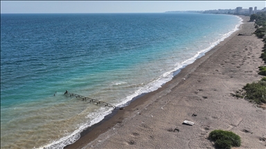 Mersin'de anaç kaplumbağaların kumsala çıkışlarında artış gözlendi