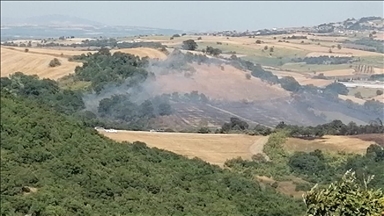 Balıkesir'de arazide çıkan yangın kontrol altına alındı