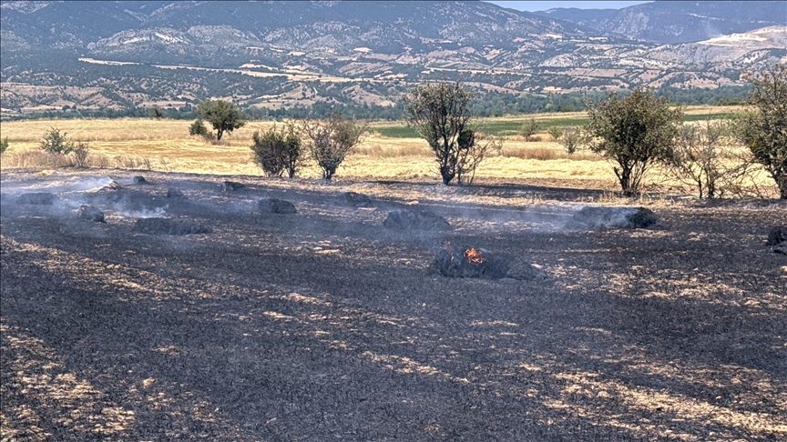 Kastamonu'da çıkan anız yangınında 40 dekar tarım alanı zarar gördü