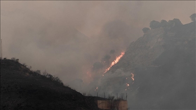 İtalya'nın Sardinya Adası'nda 20 farklı noktada orman yangını çıktı