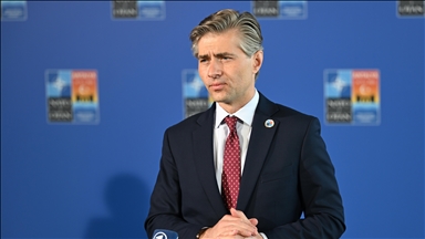 Lithuanian foreign minister urges avoiding escalation with US during tariff talks