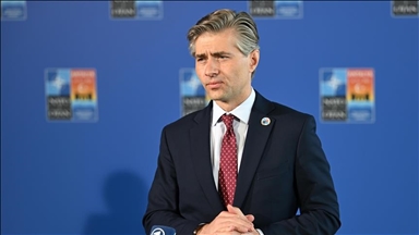 Litvanski ministar vanjskih poslova pozvao na izbjegavanje eskalacije sa SAD-om tokom pregovora o tarifama