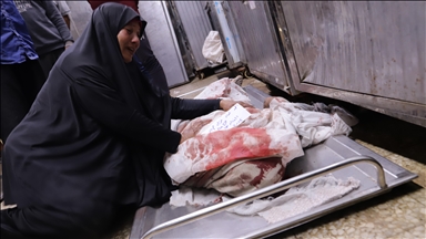 Over 700 Palestinians killed by Israeli fire while collecting water in Gaza, authorities say