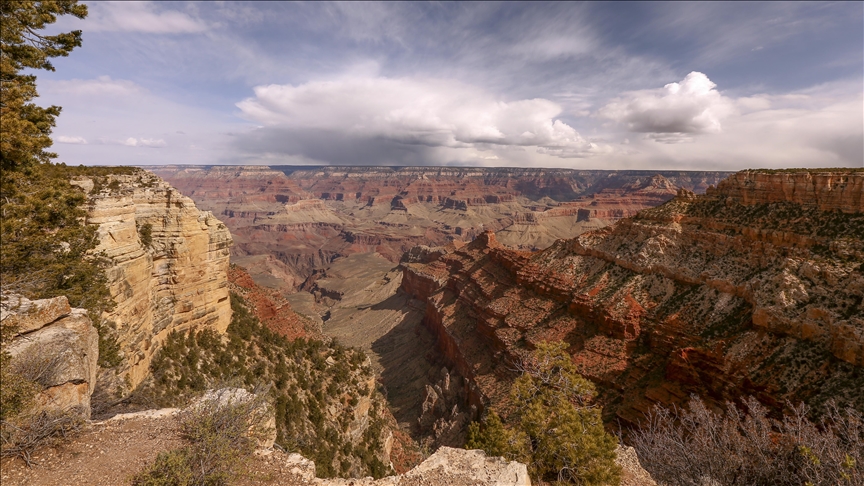 Arizona senators question Grand Canyon wildfire response