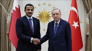 Mîrê Qeterê ji bo 15ê Tîrmehê pîrozî li Serokomar Erdogan kir