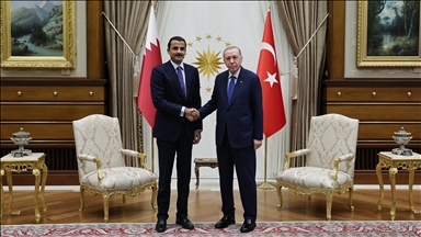 أمير قطر يهنئ الرئيس أردوغان بـ"يوم الديمقراطية والوحدة الوطنية"