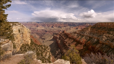 Arizona senators question Grand Canyon wildfire response