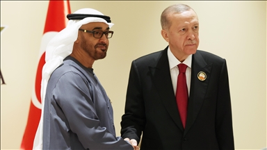 UAE president to visit Türkiye for 1st High-Level Strategic Council meeting