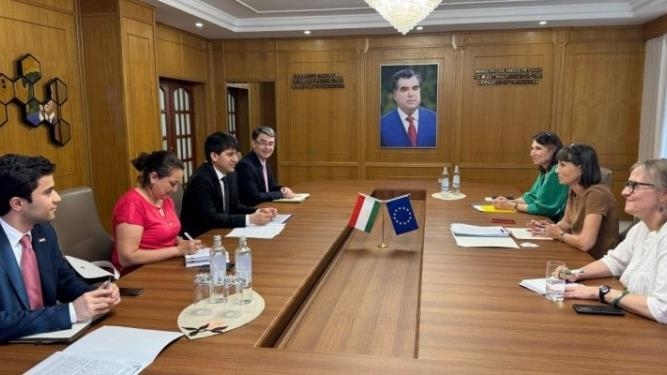 Таджикистан и ЕС намерены расширить сотрудничество в промышленности и сырьевом секторе