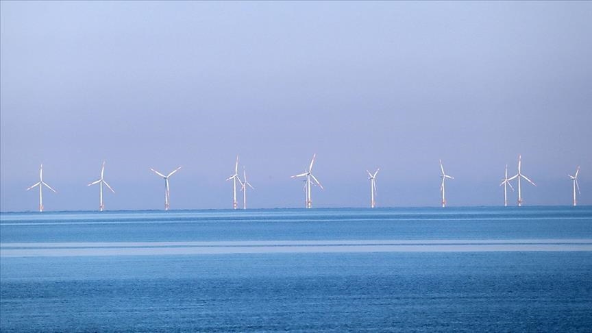 Dutch government reduces offshore wind plans due to lagging industry transition