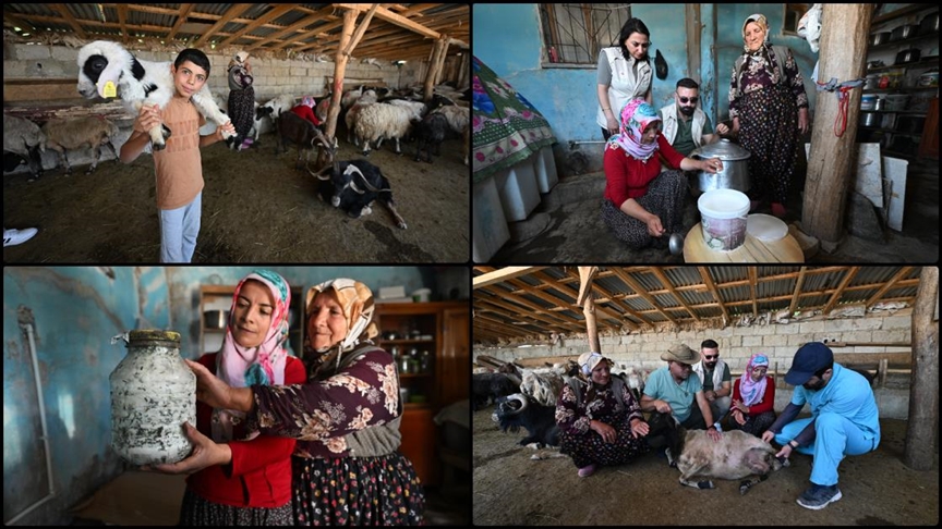 Otlu peynirin sofralara sağlıklı ulaşması için kadın üreticiler tek tek bilgilendiriliyor