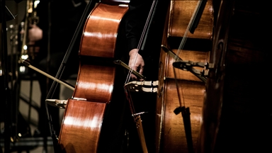 İtalya'da Rus orkestra şefi Gergiev'in yöneteceği konser tartışma konusu oldu
