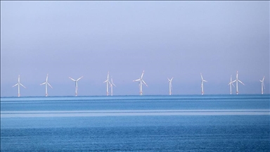 Dutch government reduces offshore wind plans due to lagging industry transition