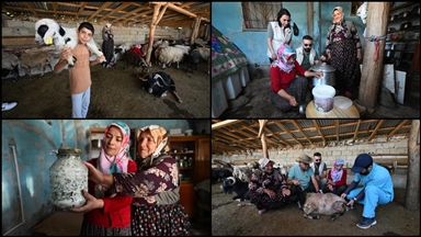 Otlu peynirin sofralara sağlıklı ulaşması için kadın üreticiler tek tek bilgilendiriliyor