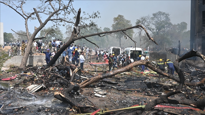 Captain of crashed Air India flight turned off fuel switches: Report