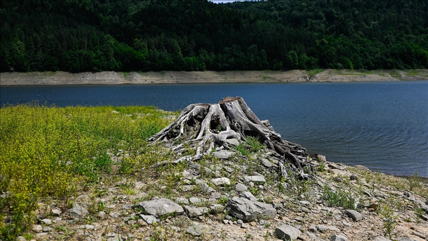 Researchers develop 30,000 AI-induced climate mitigation scenarios