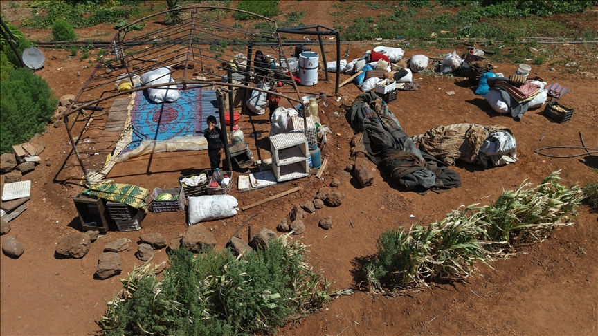Bedouins forcibly displaced by Druze in Syria’s Suwayda despite ceasefire
