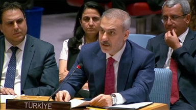Israeli attacks on Syria 'deepening the ethnic fault lines' across region: Turkish foreign minister