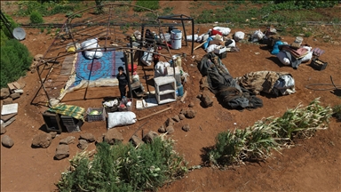 Bedouins forcibly displaced by Druze in Syria’s Suwayda despite ceasefire