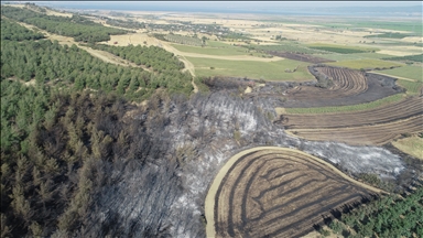 Tekirdağ'dan Çanakkale'ye sıçrayan yangında zarar gören alanlar dronla görüntülendi