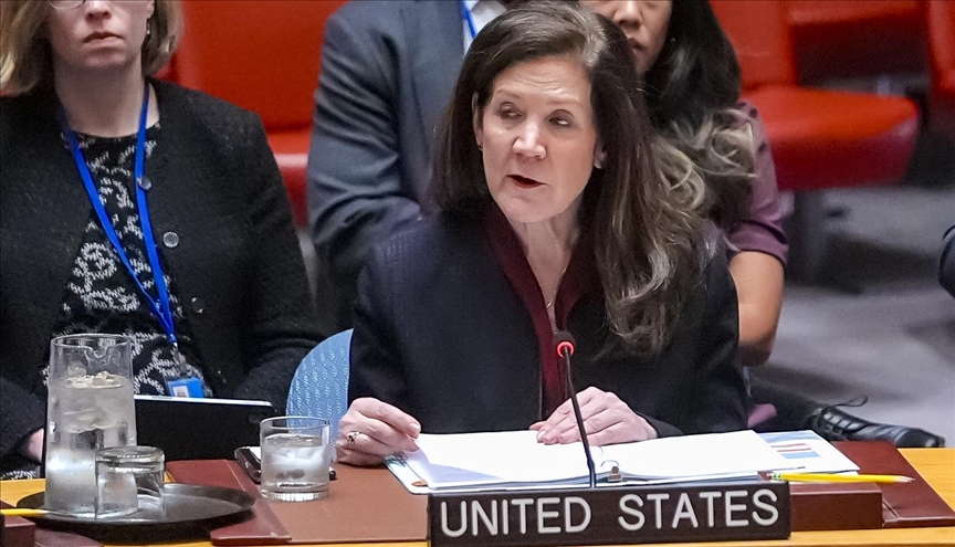 US ‘actively working’ with allies for ‘peaceful and inclusive resolution’ in Syria: Envoy