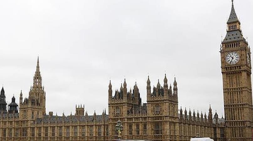 В Британии осужден мужчина, выпускавший перед мечетью крыс