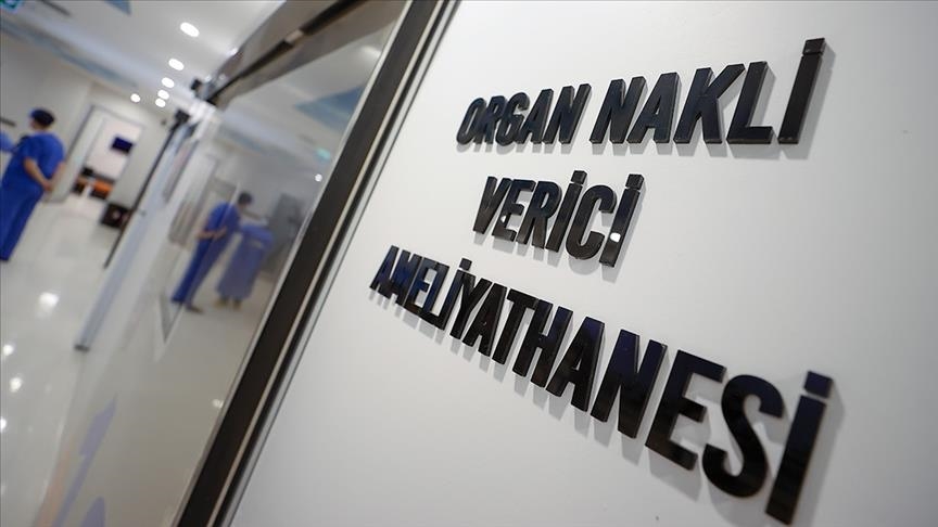 Türkiye "canlı vericili nakiller"de dünyada böbrekte ilk, karaciğerde ikinci sırada