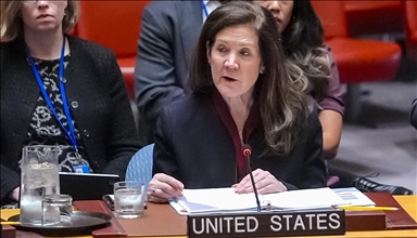 US 'actively working' with allies for 'peaceful and inclusive resolution' in Syria: Envoy