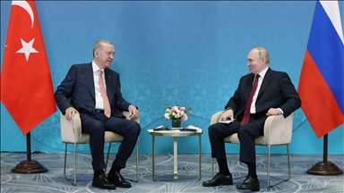 أردوغان وبوتين يبحثان علاقات البلدين وانتهاكات إسرائيل لسيادة سوريا 