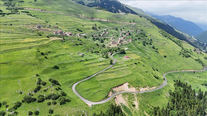 Gümüşhane'deki "Taşköprü Yaylası" doğaseverlerin uğrak noktası oldu