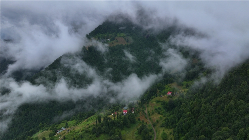 Trabzon'un "Hıdırnebi Yaylası" sis altındaki güzelliğiyle ziyaretçilerini karşılıyor