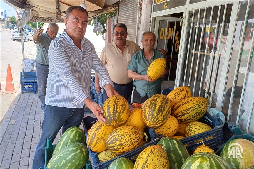Li Arabanê berhevkirina petêxan dest pê kir