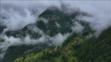 Trabzon'un "Hıdırnebi Yaylası" sis altındaki güzelliğiyle ziyaretçilerini karşılıyor