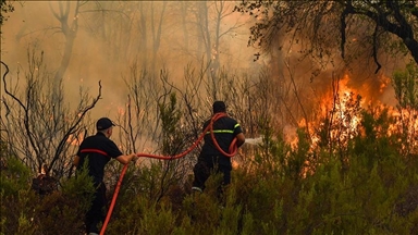 Moroccan authorities battle forest fire near Tetouan with intense ground, air efforts
