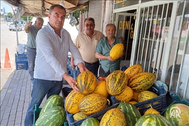 Li Arabanê berhevkirina petêxan dest pê kir