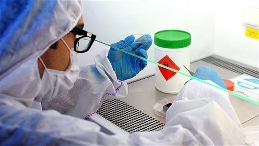 وفاتان و16 إصابة بالحمى النزفية في العراق
