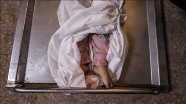 25 pays, ainsi que l'UE, condamnent « le massacre inhumain » de civils dans la Bande de Gaza