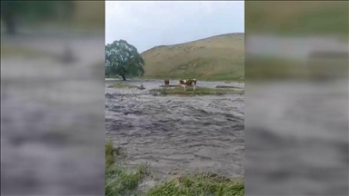 Kars'ta etkili olan sağanak sele dönüştü