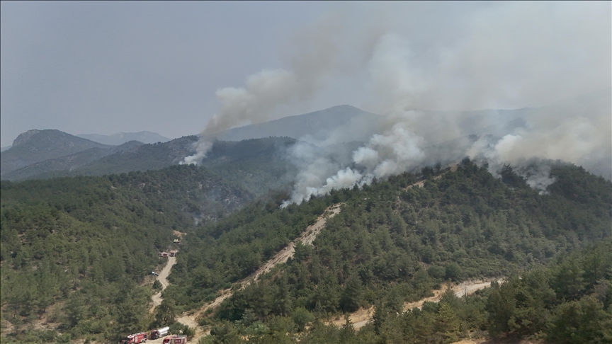 Sakarya, Bilecik ve Eskişehir'deki orman yangınlarına müdahale sürüyor