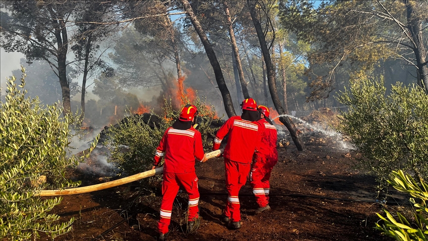 Shqipëri, nëntë vatra zjarri ende aktive